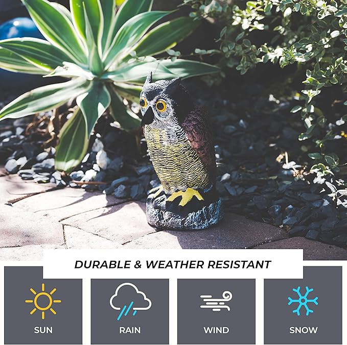 Galashield Owl Decoy to Scare Birds Away | Plastic Owls to Scare Birds Away | Owl Statue for Garden & Outdoors-VerdiqueGarden