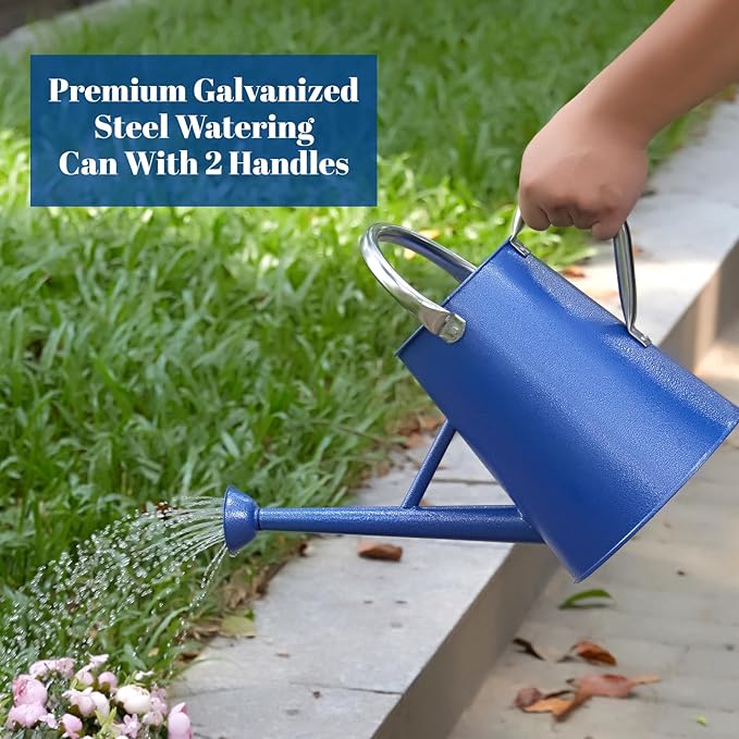 1.5 Gallon Watering Can for Outdoor Plants,Large Metal Plant Watering Pot with Removable Spout,Flower Garden Water Can Watering Pot,Galvanized Steel Watering Can with Stainless Steel Handles，Navy-VerdiqueGarden