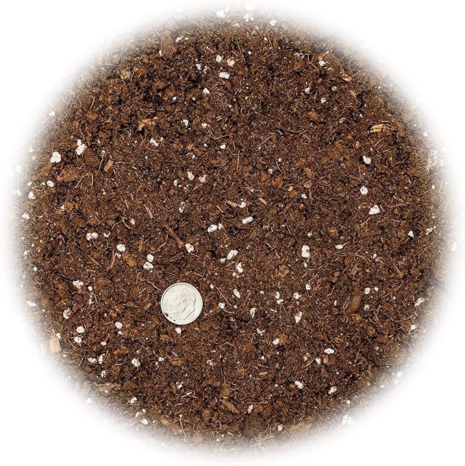 Premium Dracaena Potting Soil Mix - (20 Quart Bag)-VerdiqueGarden