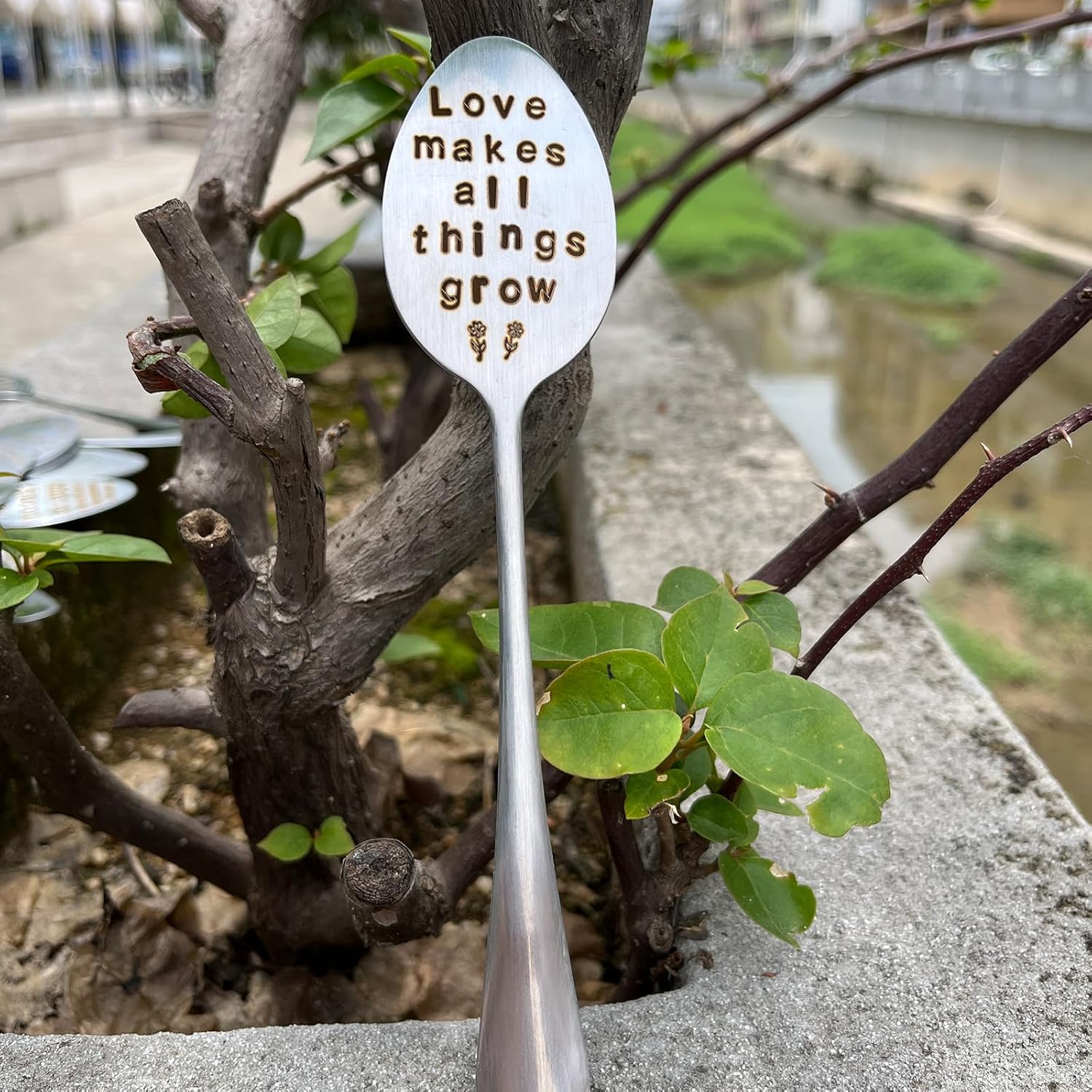 Garden Plant Marker Friendship Gift for Women Gardeners, Plant Stake Label Sign Tag Gardening Gifts for Woman Plant Lovers, Metal Garden Decoration (All Things Grow), Silver-VerdiqueGarden