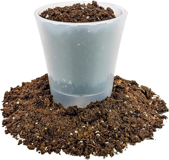 Money Tree Potting Soil, Soil Mix for Planting or Repotting Guiana Chestnut, Soil Blended to Properly Grow Money Tree Plants - (2 Quart Bag)-VerdiqueGarden