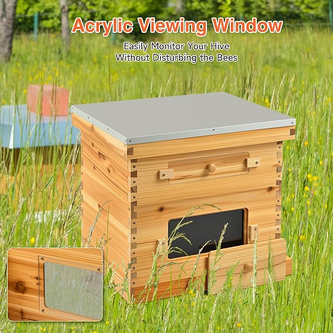 CREWORKS 10 Frame Bee Hive, 2 Layers Beeswax Coated Beehive Starter Kit with Frames & Foundations, Langstroth Bees Hives Box with Transparent Acrylic (Window Medium Box & Deep Box)-VerdiqueGarden