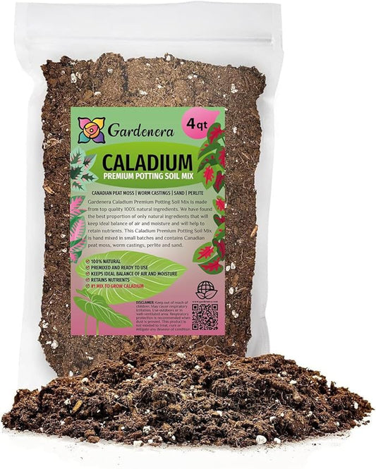 Caladium Potting Mix - Promote Strong Roots and Captivating Patterns with Our Premium Blend - 4 Quart-VerdiqueGarden