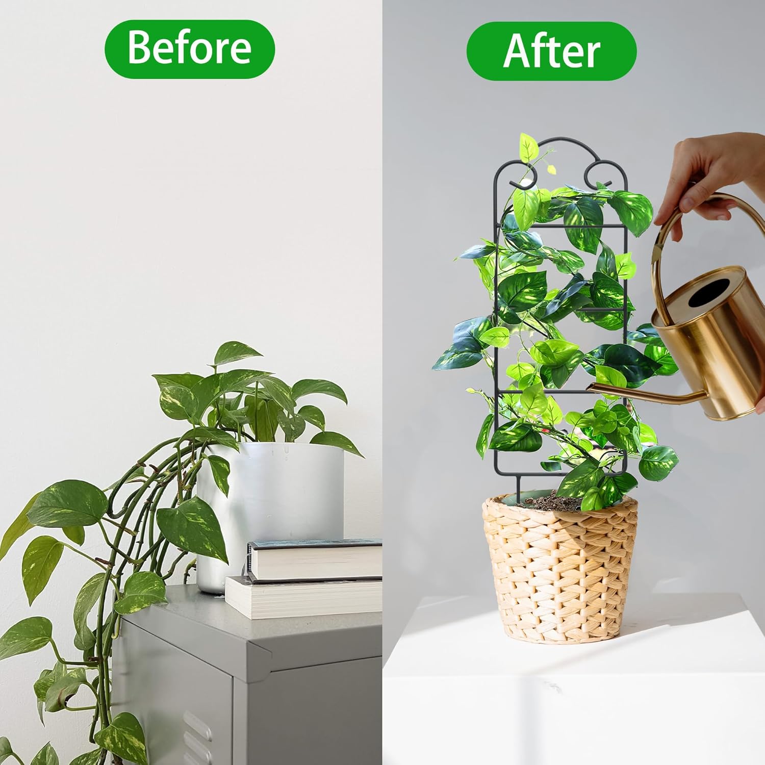 16 Inch Plant Trellis Indoor for Potted Plants 4 Pack Indoor Plant Trellis for Climbing Plants Houseplant Trellis Metal Garden Pot Trellis for Vine Ivy Support(16inch Black)-VerdiqueGarden