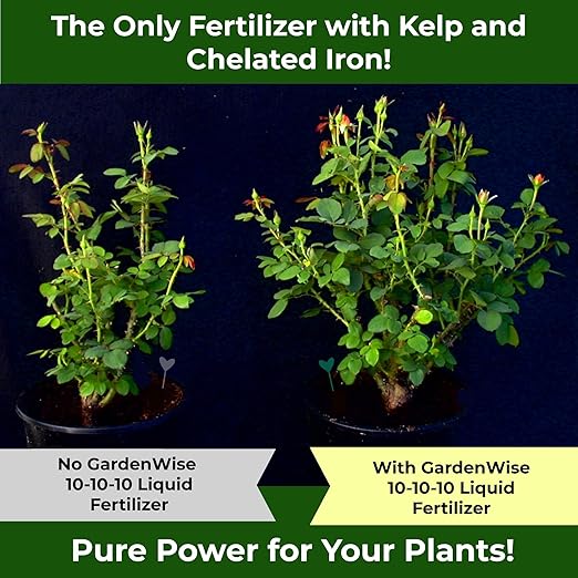 10-10-10 Fertilizer for All Purpose Plants - Liquid Fertilizer with Seaweed Kelp&Iron - Plant Food Outdoor & Indoor Plant Food, Vegetables, Flowers, Lawn & Garden 10 10 10 Fertilizer 1x8oz-VerdiqueGarden
