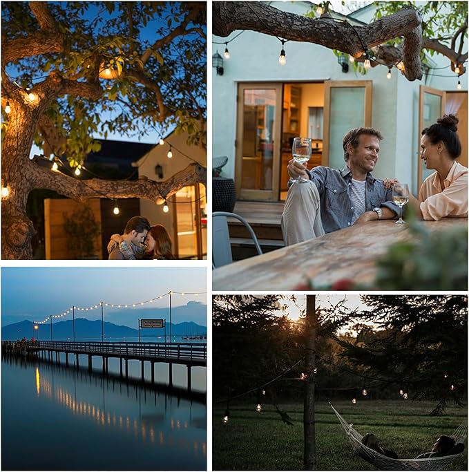 48ft LED Outdoor String Lights with 15+1(Spare) 1W Shatterproof Bulbs, Black Waterproof IP65 Connectable Outdoor Decorative Lights for Garden Patio Cafe Bistro Backyard Porch, UL Listed-VerdiqueGarden