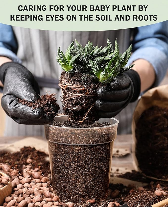 homenote Clear Nursery Pots for Plants,5 Inch Plant Pot for Planting Plastic Seedling with Drainage Holes Seed Starter Flower High Transparency with 20 Labels (30 Pack)-VerdiqueGarden