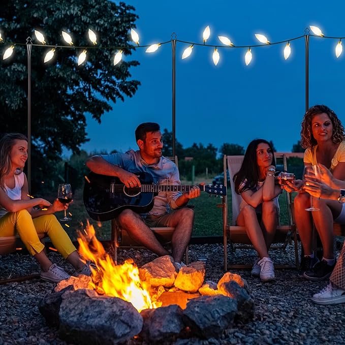 String Light Poles 2 Pack 9.8FT Light Pole for Outside Hanging - Backyard, Garden, Patio, Deck Lighting Stand for OutdoorParties, Wedding-VerdiqueGarden