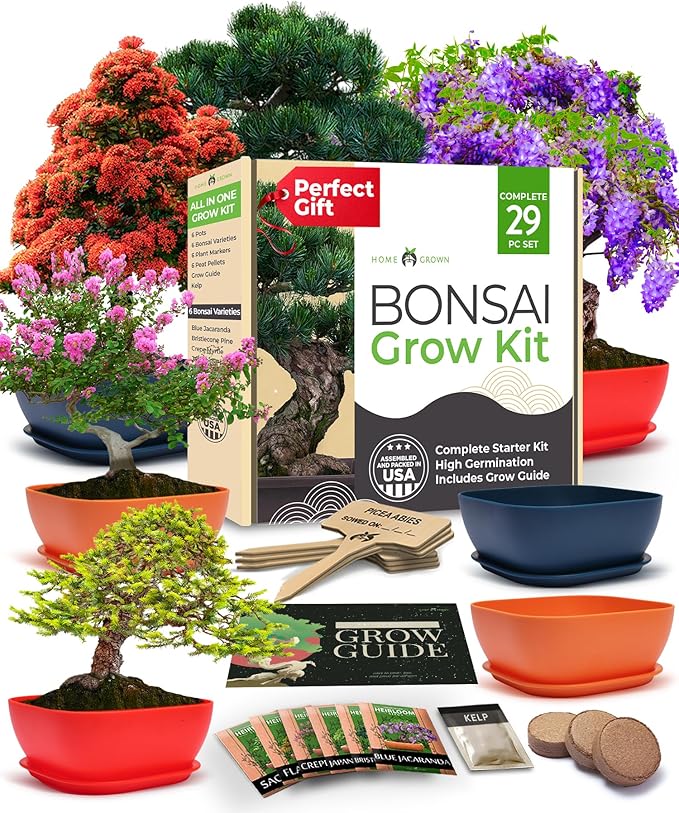 Bonsai Tree Kit - Gifts for Men & Women (Master Kit)-VerdiqueGarden
