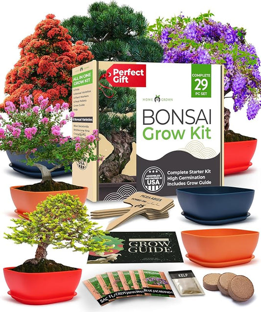 Bonsai Tree Kit - Gifts for Men & Women (Master Kit)-VerdiqueGarden