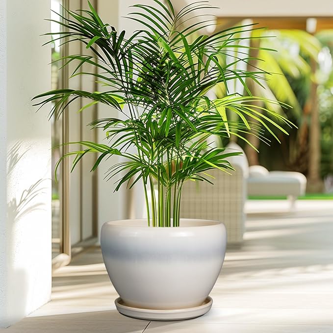 10 Inch Ceramic Planter Pot - Large Plant Pot with Drainage Hole and Saucer Round Flower Pot for Indoor Plants, White-VerdiqueGarden