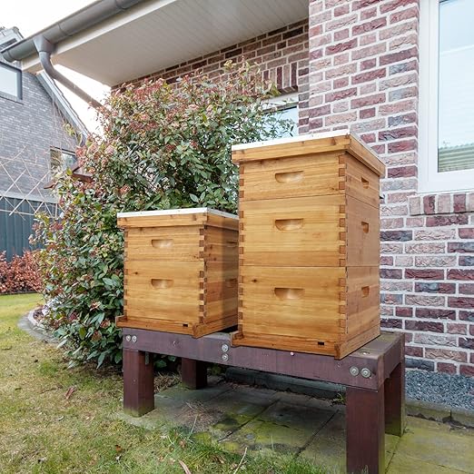 VINGLI 10 Frames Beehive, Complete Beehive Kit Includes 1 Deep Boxes, 1 Medium Box, Frames and Waxed Foundations, for Yard, Field, Bee Farm (2 Layer)-VerdiqueGarden