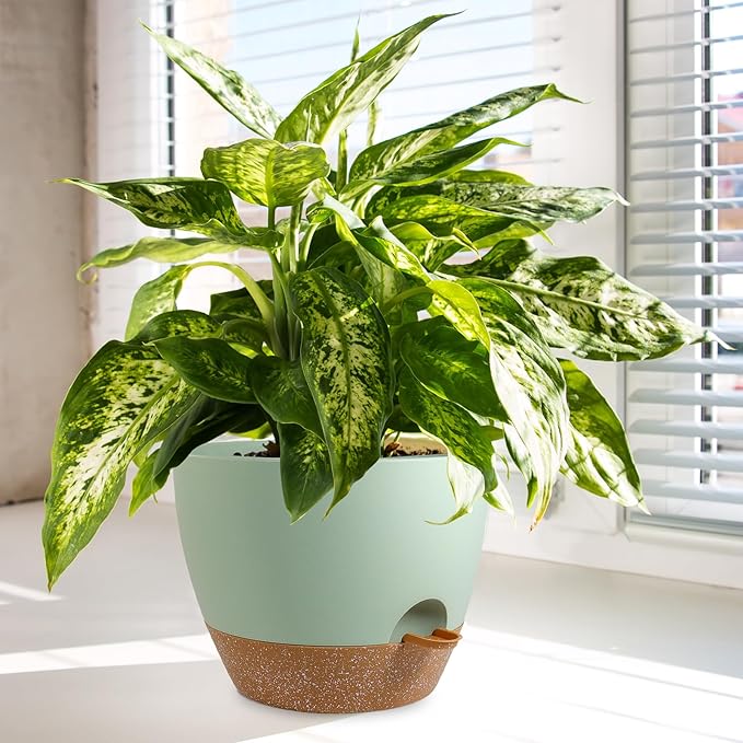 10/9/8 inch Self Watering Pots, Planter, Plant Pots with Mesh Drainage Holes for Indoor Outdoor Garden Plants, Plastic Flower Pots with Deep Reservoir for House Plants, Green with Brown-VerdiqueGarden