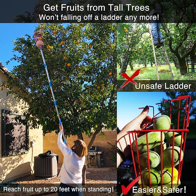 DnSail Fruit Picker Pole Tool with Basket Telescoping - Adjustable Mango Picker 35-68 inch Long Handle - Apple Orange Avocado Acorn Lemon Pear Pomelo Chery Picker for Tree