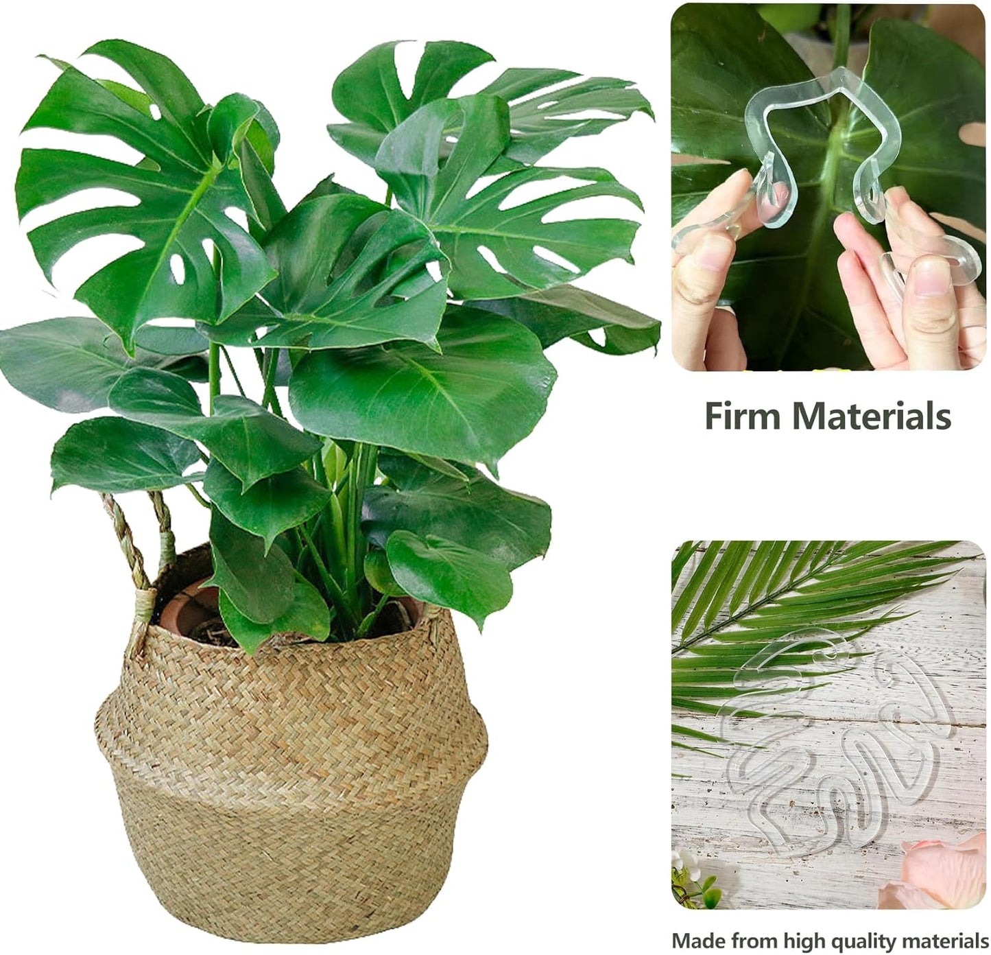 2PCS Plant Stem Support , Acrylic Monstera Stabilizer Grapple Holder Unique Design for Climbing Plants, Turtle Shell Bamboo Clamp Set, Ideal Plant Support for Thriving Growth Indoor Outdoor Plants-VerdiqueGarden