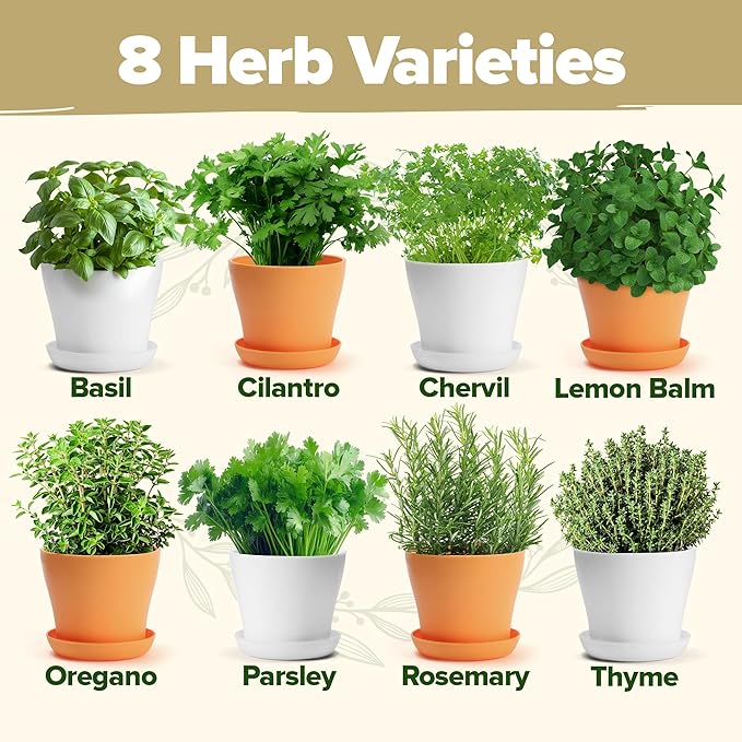 HOME GROWN 𝗣𝗥𝗘𝗠𝗜𝗨𝗠 𝗛𝗘𝗥𝗕 𝗞𝗜𝗧 8 Herb Seeds Garden Kit, Complete Indoor Planter Gift with Basil Cilantro Mint & More, Unique Kitchen Growing Set for Women Men, Birthday Housewarming Present-VerdiqueGarden