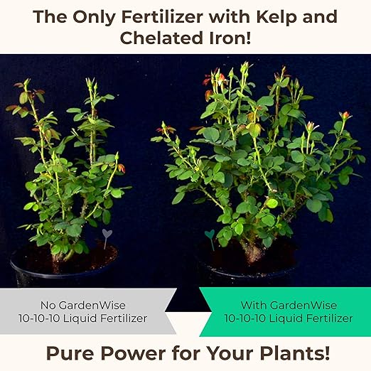 10-10-10 Fertilizer for All Purpose Plants - Liquid Fertilizer with Seaweed Kelp & Iron - Plant Food Outdoor & Indoor Plant Food, Vegetables,Flowers, Lawn & Garden 10 10 10 Fertilizer 16 oz-VerdiqueGarden