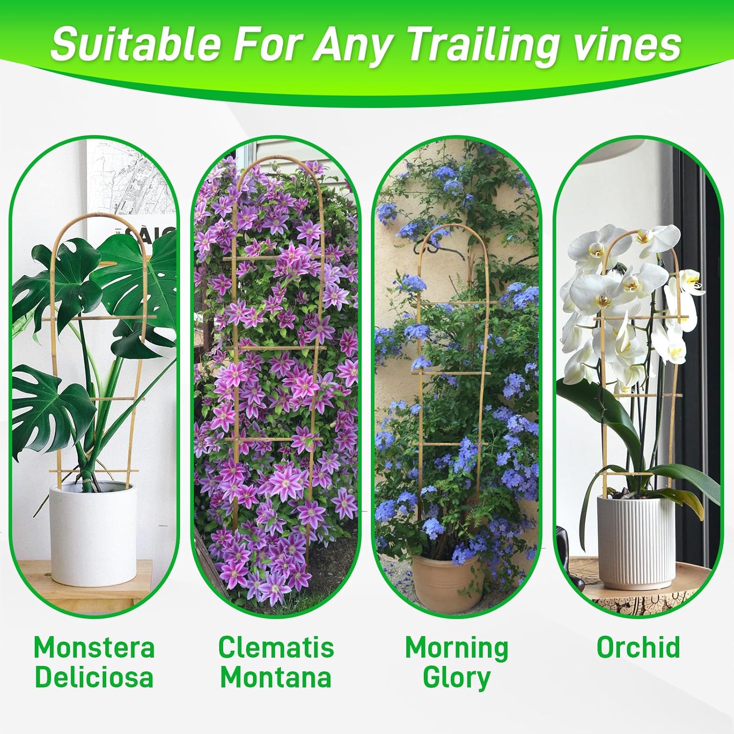 10 Pack 4ft U-Shape Bamboo Trellis for Climbing Plants, Natural Garden Trellis for Tomatoes, Cucumbers, Potted Plants, Vegetables Indoor Outdoor-VerdiqueGarden