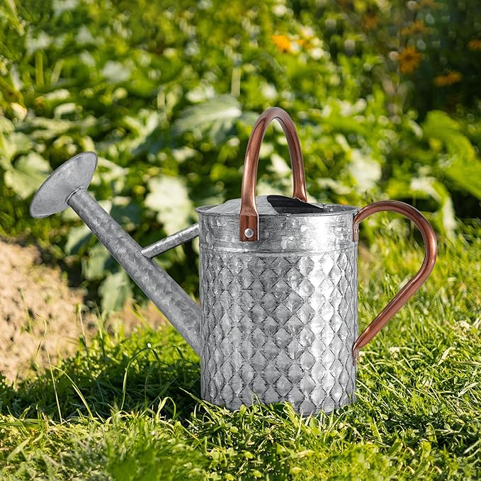 1 Gallon Metal Watering Can for Outdoor Indoor Plants, Galvanized Watering Can with Removable Spray Spout, Ideal for Garden Watering-VerdiqueGarden