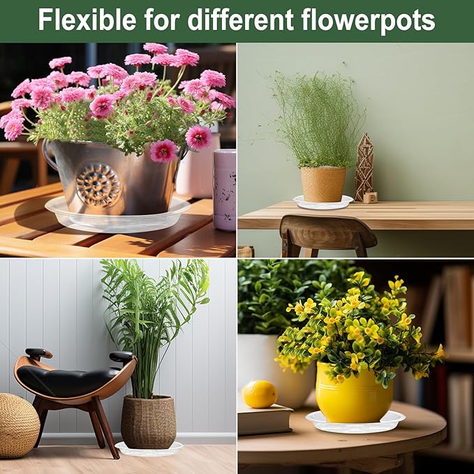 BORPEIN Plant Saucer (6,8,10,12inch, 24 Pack) Clear Plastic Plant Trays for Pots Indoors Outdoors, Thicker Flower Pot Saucers, Plant Plate to Catch Water-VerdiqueGarden