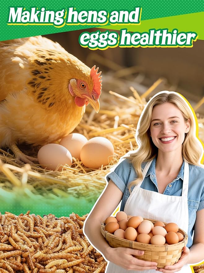 Mealworms Chicken Treats 2 Lbs with Handle Packing, High-Protein Promote Egg Production, Natural Chicken Feed for Laying Hens Wild Birds Ducks-VerdiqueGarden