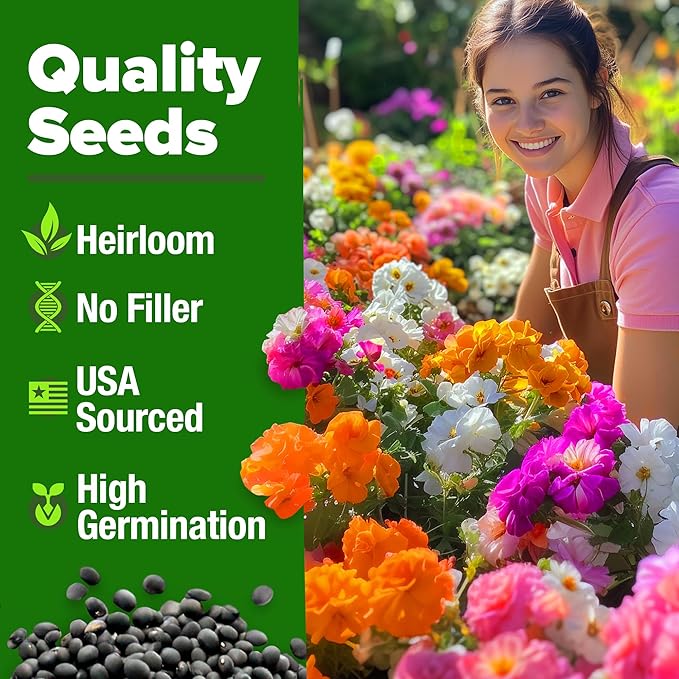 HOME GROWN 23,500+ Moss Rose Seeds (Bulk Pack) Annual Flower for Ground Cover - Heirloom 𝗡𝗢𝗡-𝗚𝗠𝗢 Portulaca Seeds for Planting Outdoors - Great for Low-Maintenance Gardens (Portulaca grandiflora)-VerdiqueGarden