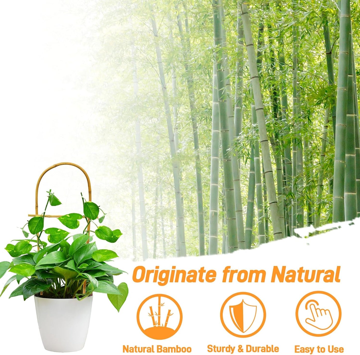 Avalution 10 Pack Bamboo U Trellis for Climbing Plants, 16 Inch Garden Ladder Trellis for Potted Plants Indoor, Ladder Small Plant Support Trellis for Houseplants Ivy Hoya Vine Monstera-VerdiqueGarden