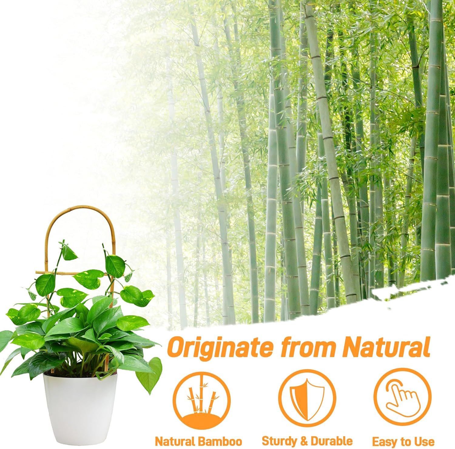 Avalution 10 Pack Bamboo U Trellis for Climbing Plants, 16 Inch Garden Ladder Trellis for Potted Plants Indoor, Ladder Small Plant Support Trellis for Houseplants Ivy Hoya Vine Monstera-VerdiqueGarden