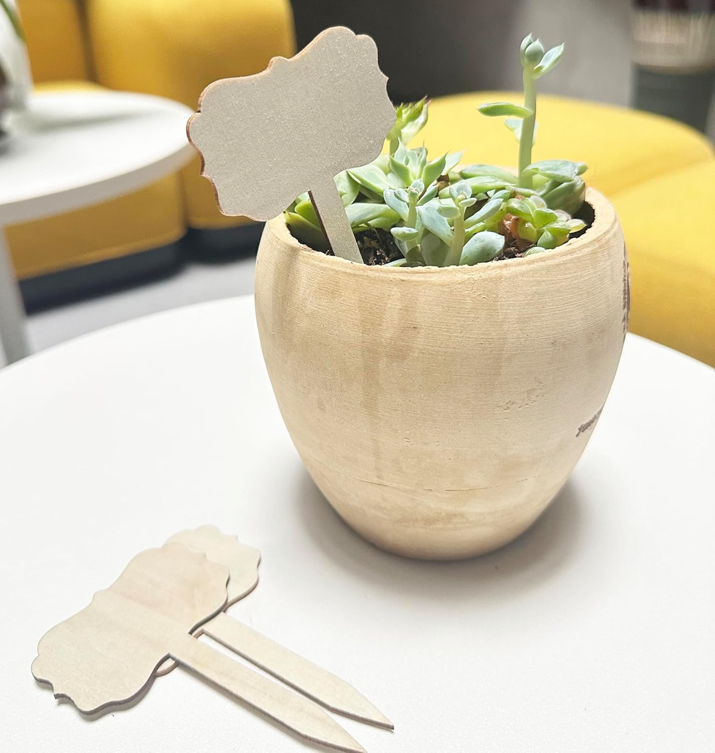 100 Pcs Wood Plant Labels, Natural Wooden Plant Marker Garden Sign Tags, T-Type Garden Markers for Succulents, Herbs, Seedlings, Potted, Flowers, Vegetables (Polygon)-VerdiqueGarden