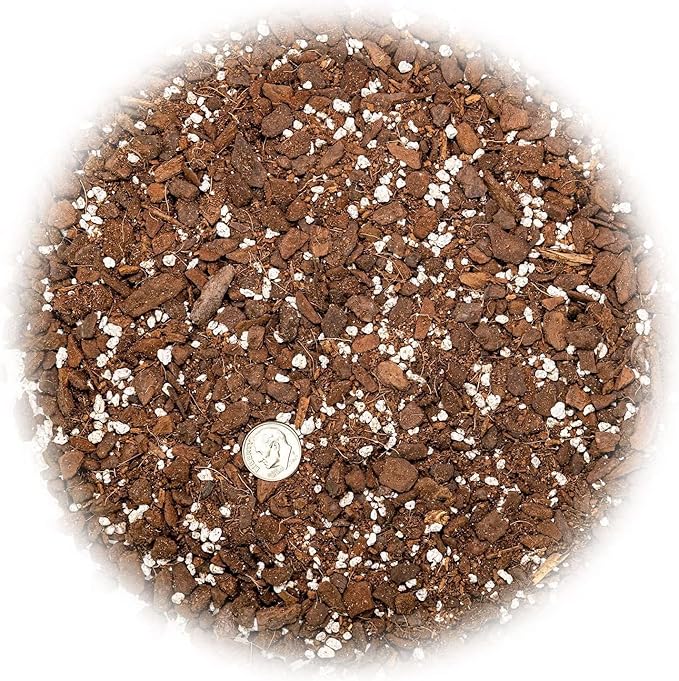 Split Leaf Philodendron Soil Mix - Expertly Formulated for Strong Root Development - 2 Quart-VerdiqueGarden