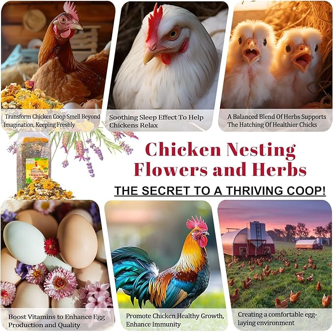 21 oz Chicken Nesting Herbs Flowers - 1.3lb Poultry Blend Herbs 12 Premium Nesting Box Herbs for Chicken Coop Refresher Boost Egg Laying Hens Herb Supplement for Backyard-VerdiqueGarden