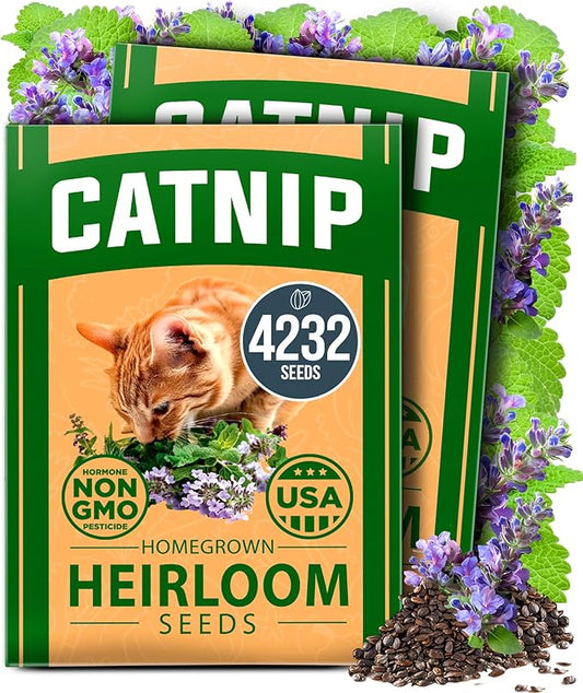 HOME GROWN Catnip Seeds (2 Pack) 𝗡𝗢𝗡-𝗚𝗠𝗢, 𝗨𝗦𝗔-𝗦𝗢𝗨𝗥𝗖𝗘𝗗 Heirloom Herb 4232 Seeds - Indoor or Outdoor Seed - High-Germination Cat Nip - Cat Safe Plants (Nepeta cataria)-VerdiqueGarden