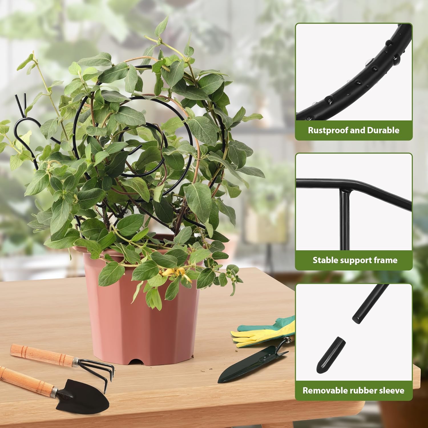 2 Pack Plant Trellis Indoor, 11" W x 13" H Small Trellis for Potted Plants, Decorative Trellis for Climbing Plants Indoor, Ideal for Vines on Tabletops, Balconies, Gardens and Lawns, Snail-Shaped-VerdiqueGarden