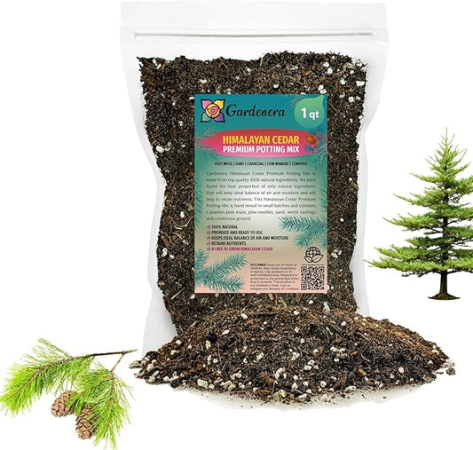 Premium Himalayan Cedar Potting Soil Mix - Perfect Balance of Nutrients, Drainage, and Aeration for Healthy Cedar Trees - 1 Quart-VerdiqueGarden