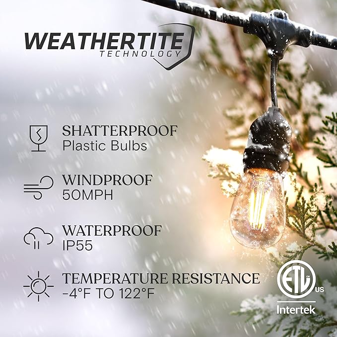 Brightech Ambience Pro - Waterproof LED Outdoor String Lights - 7 Hanging, Dimmable 2W Vintage Edison Bulbs - 24 Ft Commercial Grade Patio Lights Create Cafe Ambience in Your Backyard-VerdiqueGarden