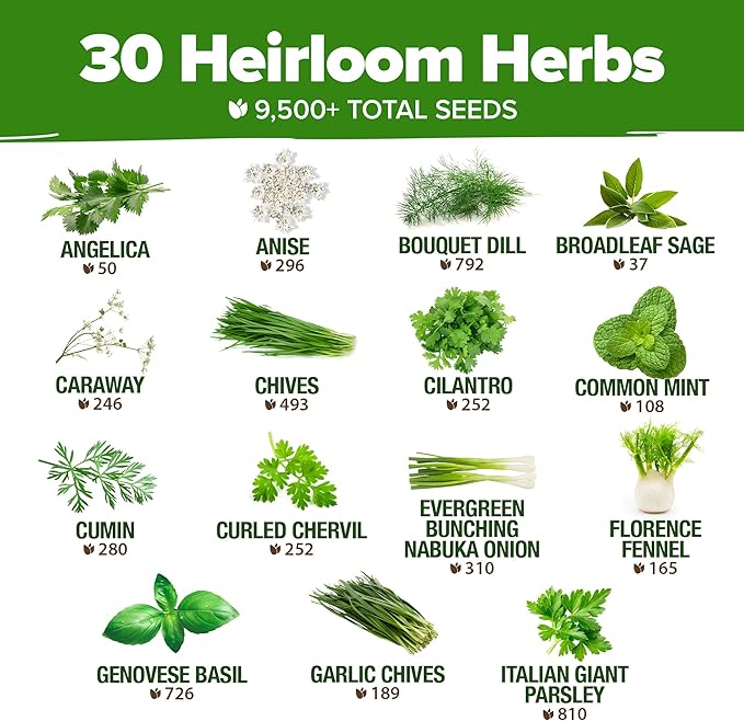 HOME GROWN 30 Herb Seeds for Planting 9,500+ Non-GMO Heirloom Seeds | Extra Large Variety Pack Herb Kit – Indoor Outdoor & Hydroponic | Culinary Seed Set | Grow Your Own Herbs | Gardening Gift-VerdiqueGarden