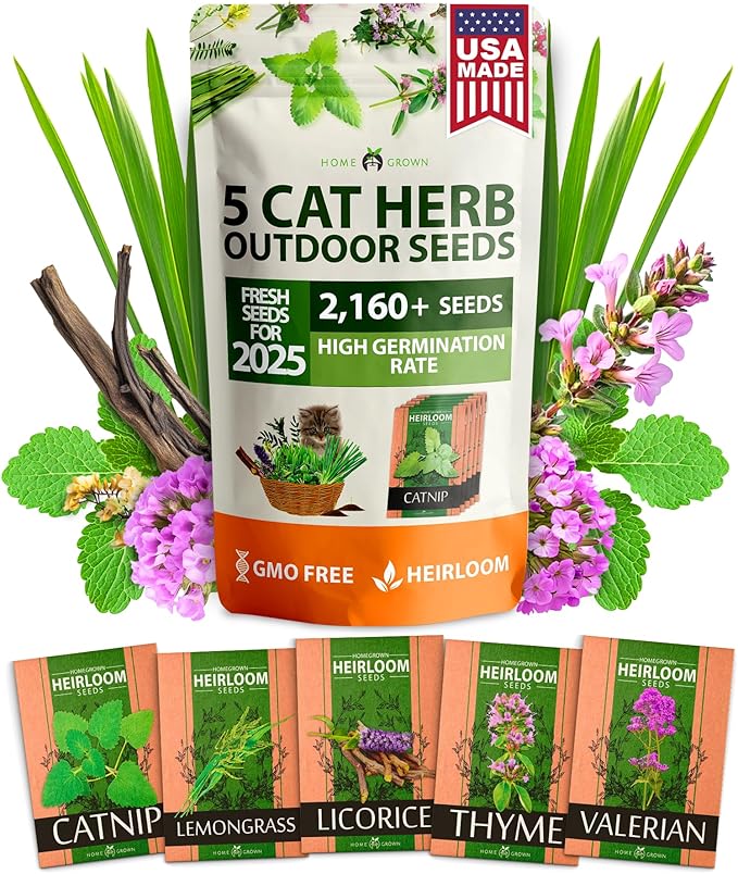 HOME GROWN 2,160+ Cat Plant Seeds Mix – 𝗡𝗢𝗡-𝗚𝗠𝗢 𝗨𝗦𝗔-𝗦𝗢𝗨𝗥𝗖𝗘𝗗 Heirloom Catnip, Lemongrass, Licorice, Thyme & Valerian – Pet-Friendly Indoor Garden Refill Kit for Cats & Kittens-VerdiqueGarden