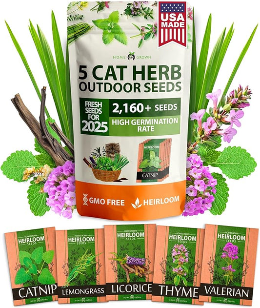 HOME GROWN 2,160+ Cat Plant Seeds Mix – 𝗡𝗢𝗡-𝗚𝗠𝗢 𝗨𝗦𝗔-𝗦𝗢𝗨𝗥𝗖𝗘𝗗 Heirloom Catnip, Lemongrass, Licorice, Thyme & Valerian – Pet-Friendly Indoor Garden Refill Kit for Cats & Kittens-VerdiqueGarden