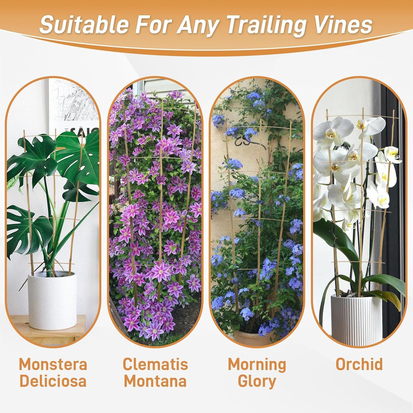 10 Pack 4ft Bamboo Trellis for Climbing Plants-Natural Garden Ladder Trellis, Fan -Shaped Support Trellis for Potted Plant Decor in Door-VerdiqueGarden