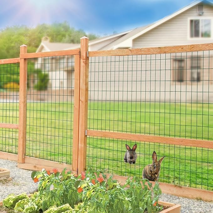 Green PVC Coated Welded Wire Fence 36 Inch x 50 Foot, 2 Inch x 4 Inch 14GA, Garden Border Fencing Roll Vinyl Coating Metal Wire Mesh Hardware Cloth for Yard Vegetable Plant Protection-VerdiqueGarden