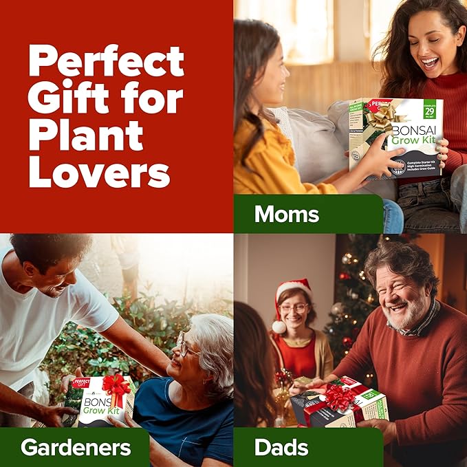 Bonsai Tree Kit - Gifts for Men & Women (Master Kit)-VerdiqueGarden