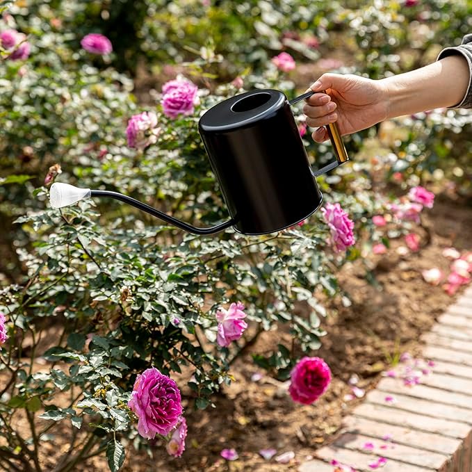 L&H Unico Stainless Steel 62oz Watering Can Long Spout Plant Misters for Indoor Plant Watering or Outdoor Gardening with 2Pcs Removable Spray Spout for Flowers Black-VerdiqueGarden