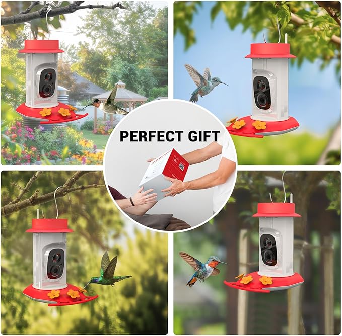 Hummingbird Feeder with Camera, AI Smart Identification Cloud Storage Function, Featuring Ant Moat Protection, Solar Power, Instant Notification, Automatic Bird Video Capture, and Motion Detection-VerdiqueGarden