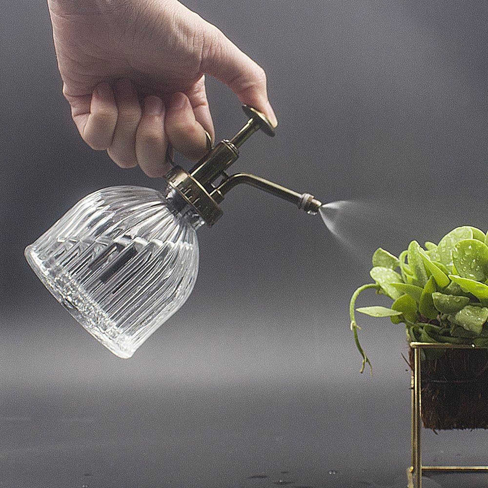 Glass Plant Mister Water Spray Bottle, 200 ML Glass Plant Spritzer Mister Bottle, Vintage Style Glass Succulent Watering Bottle with Top Pump, Plant Sprayer Mister for Indoor Plants - Clear-VerdiqueGarden