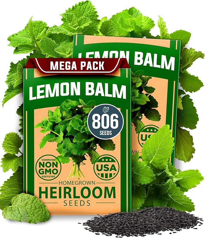 HOME GROWN Lemon Balm Seeds– 806 𝗡𝗢𝗡-𝗚𝗠𝗢 Heirloom Seeds for Planting – Melissa officinalis Herb for Tea, Garden, Indoor or Outdoor Growing–Plant for Pots, Beds & Hydroponics(Melissa officinalis)-VerdiqueGarden