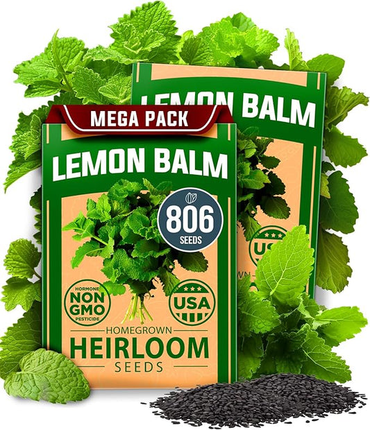 HOME GROWN Lemon Balm Seeds– 806 𝗡𝗢𝗡-𝗚𝗠𝗢 Heirloom Seeds for Planting – Melissa officinalis Herb for Tea, Garden, Indoor or Outdoor Growing–Plant for Pots, Beds & Hydroponics(Melissa officinalis)-VerdiqueGarden