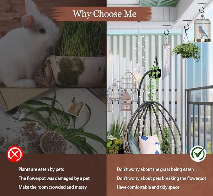 Ceiling Hooks for Hanging Plants 8Pack 4in,Wall Hooks for Plants,Lights,Planters,Lanterns,Hanging Bird Feeders,Wind Chimes,Indoor&Outdoor Decoration Hooks Black-VerdiqueGarden