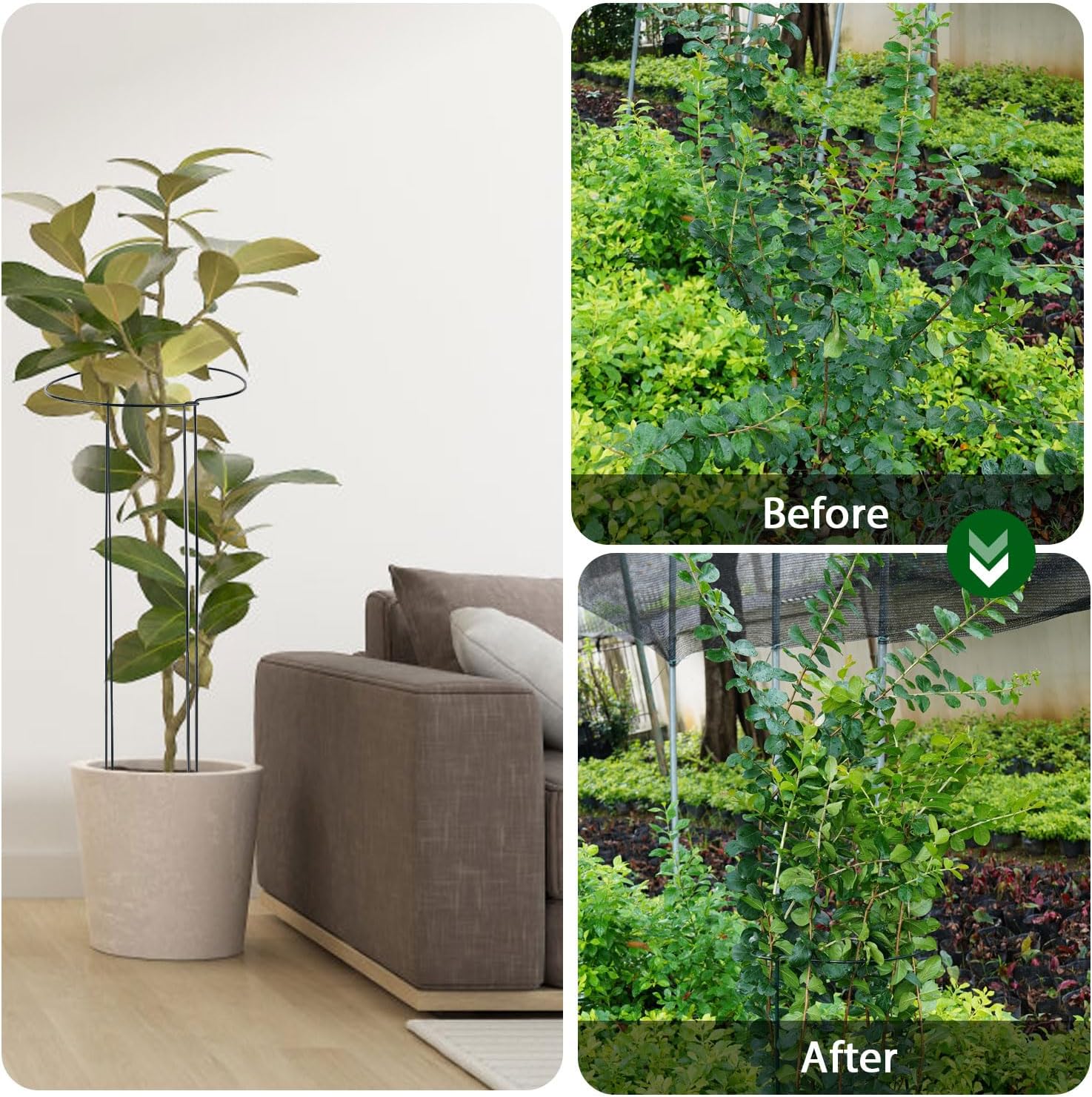 32 inch Plant Support Stakes, 10 Pack Half Round Metal Garden Plant Stake Heavy-Duty Plant Support Ring and Cage with Plant Clip & Twist Tie for Indoor and Outdoor Plants, Vegetable, Flowers-VerdiqueGarden