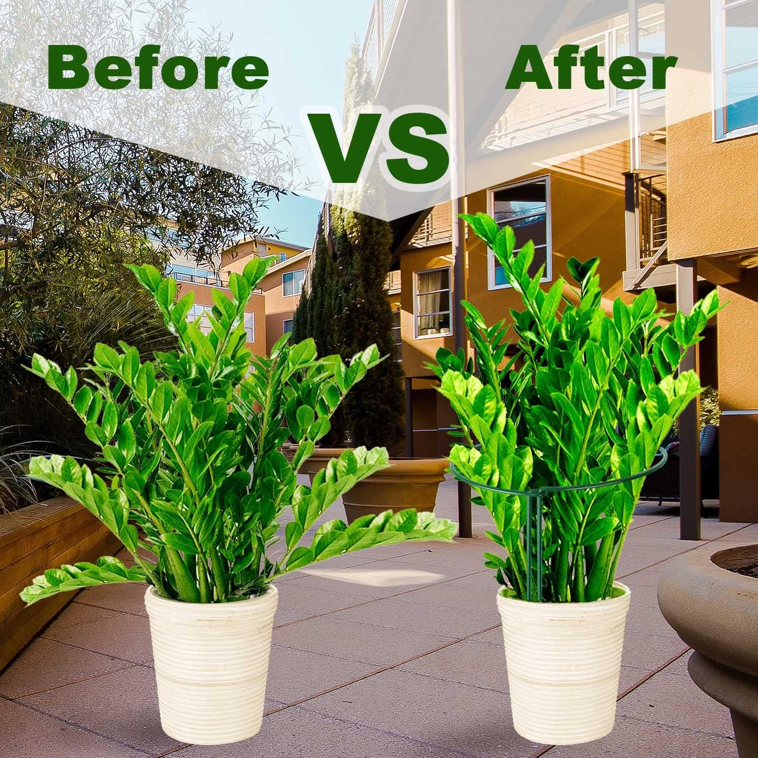 HiGift Plant Support Stakes, 6 Pack Metal Peony Cages and Supports, Garden Stakes Plant Support Cage, Large Plant Support Ring for Outdoor Indoor Snake Plant Peony Rose Flowers Vine (10" W x 15.8" H)-VerdiqueGarden