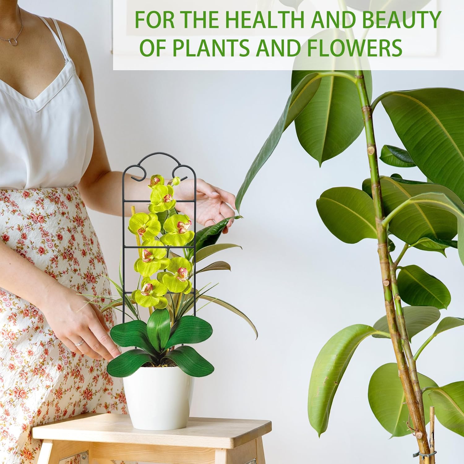 16 Inch Plant Trellis Indoor for Potted Plants 4 Pack Indoor Plant Trellis for Climbing Plants Houseplant Trellis Metal Garden Pot Trellis for Vine Ivy Support(16inch Black)-VerdiqueGarden